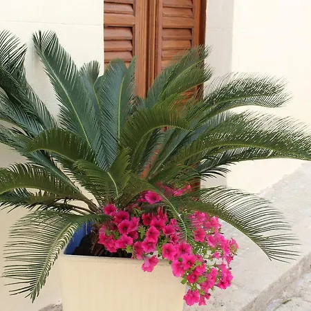 Palazzo Taormina
